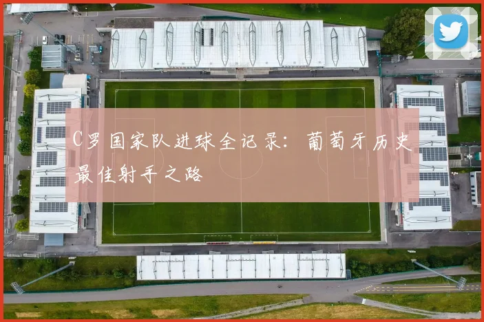 C罗国家队进球全记录：葡萄牙历史最佳射手之路