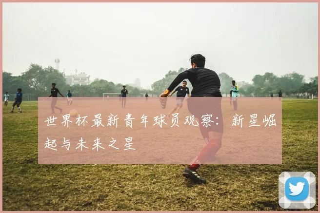 世界杯最新青年球员观察：新星崛起与未来之星